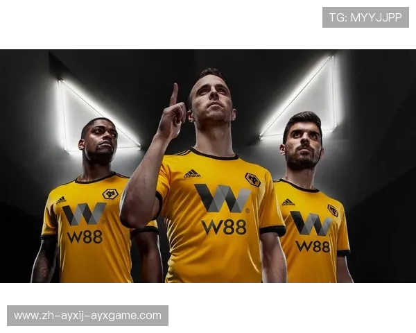 英超球队身价排行与经济影响力分析