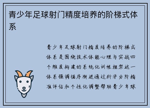 青少年足球射门精度培养的阶梯式体系